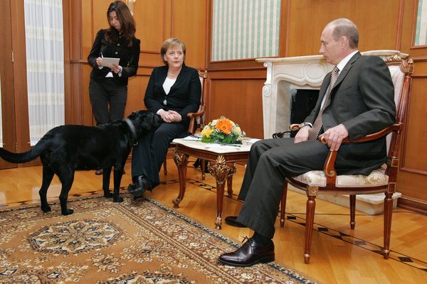 Putin Merkeli itlə daha qorxutmayacağına söz verib - VİDEO