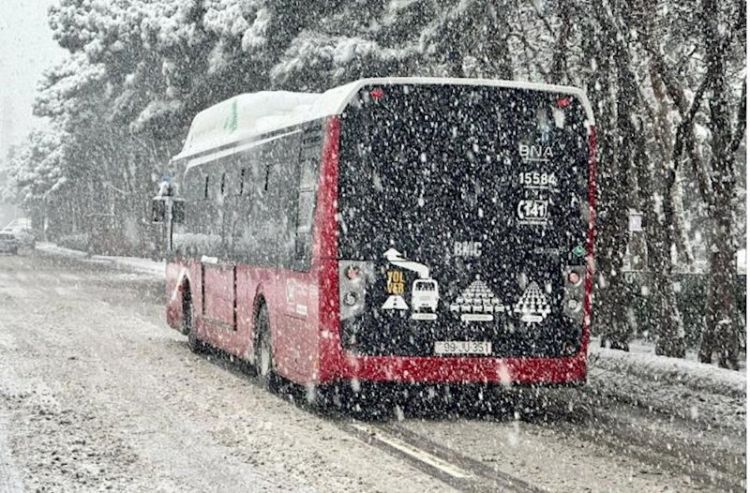 AYNA: Bakıda və Abşeronda avtobuslar saat 21:30-dək fəaliyyət göstərəcək