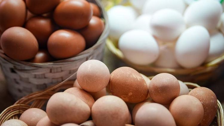 İsveç Pasxa bayramına görə ABŞ-a toyuq yumurtası satmaqdan imtina edib İsveç Pasxa bayramına görə ABŞ-a toyuq yumurtası satmaqdan imtina edib