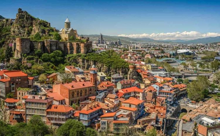 Tbilisinin Qldani rayonunda heyvanlar üçün sığınacaq tikiləcək - Kaladze