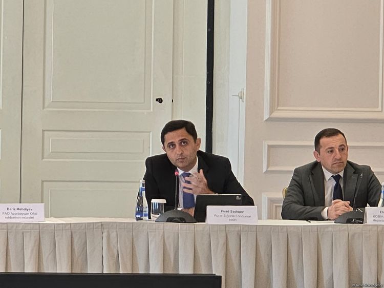 Qeyri-sabit havanın aqrar sektora vurduğu ziyan açıqlanıb