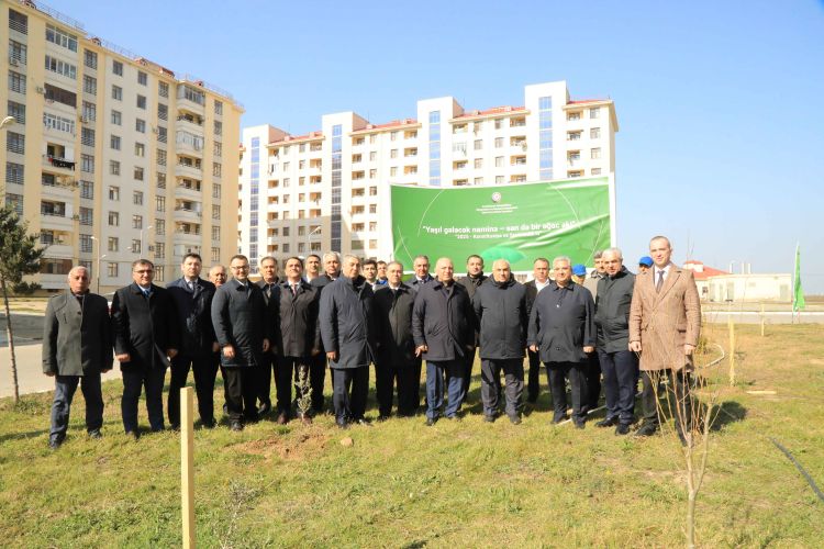 Dövlət Komitəsi ağacəkmə aksiyası təşkil edib - FOTO