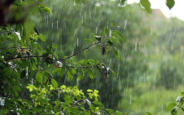 Sabah hava yağıntılı olacaq -  HAVA PROQNOZU