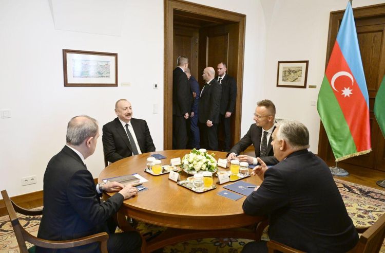 İlham Əliyevin Viktor Orban ilə məhdud tərkibdə görüşü olub - FOTO