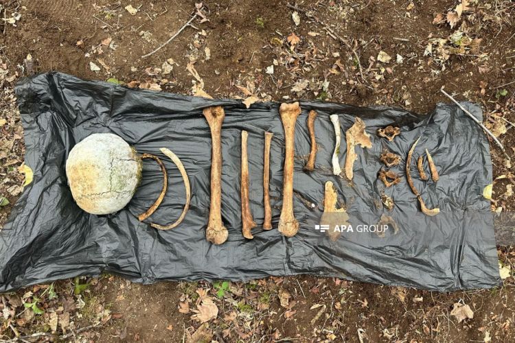 Ağdamda insan skeletinə bənzər sümük fraqmentləri aşkar edilib