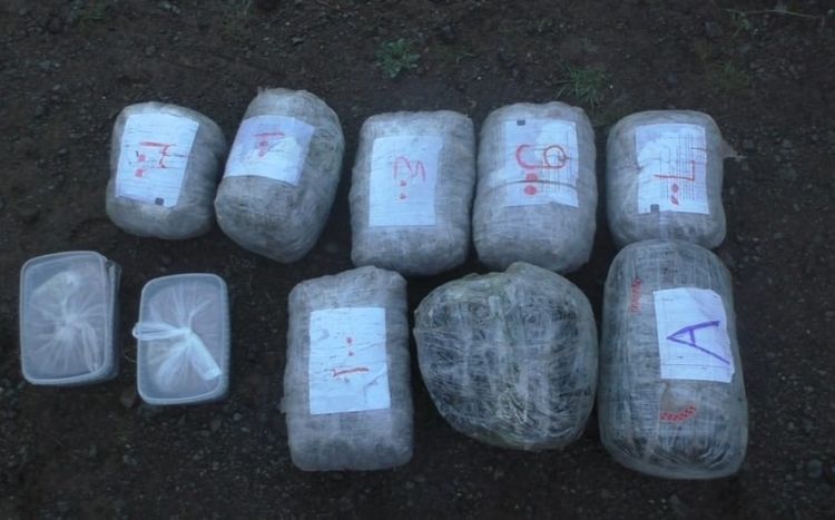 Qazaxıstanda polis mənzildən 83 vedrə marixuana müsadirə edib