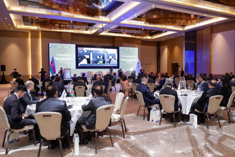 Sosial müdafiə sistemlərinin müasir çağırışlara uyğun qurulmasına dair beynəlxalq konfrans başlayıb