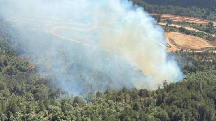Balıkesirdə meşə yanğını nəzarət altına alındı