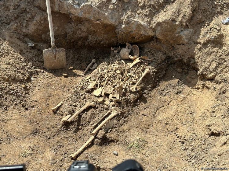 Qubadlıda skelet fraqmentləri aşkarlanıb