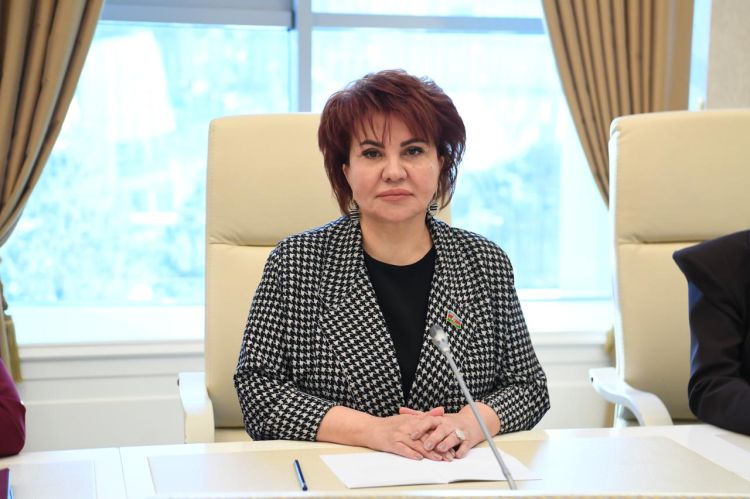 Altı universitetimizin TOP1000-ə daxil olması əlamətdar hadisədir –  Deputat