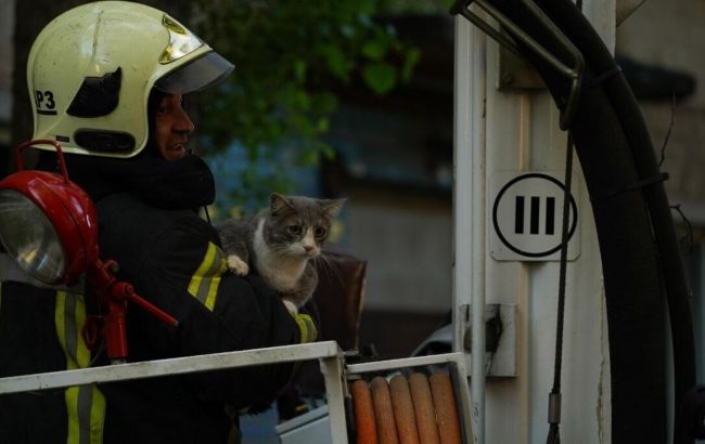 Zelenski Ukraynanın gecə hücumuna reaksiya verib: Rusiya, İran və KXDR - qatillərin koalisiyasıdır