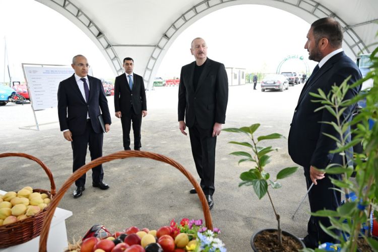 İlham Əliyev Yevlax pilot aqroparkının açılışında iştirak edib - YENİLƏNİB