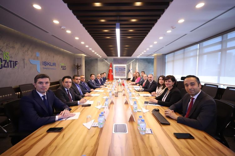 Türkiyə ilə əmək və məşğulluq sahəsində təcrübə mübadiləsi aparılıb - FOTO