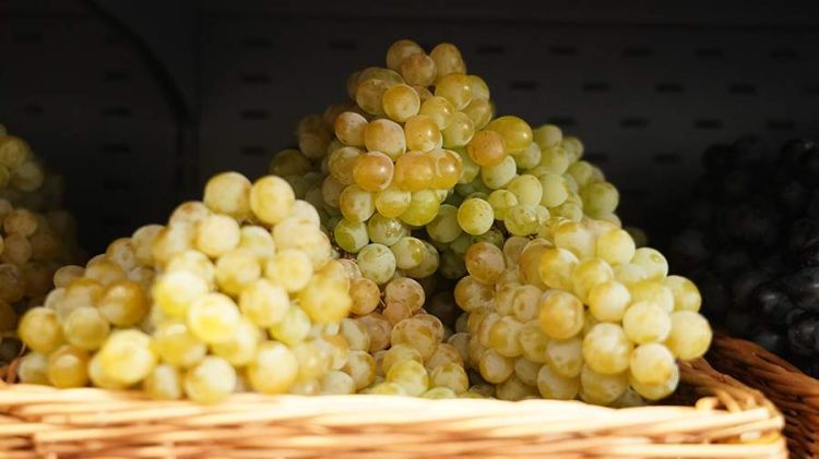 Dietoloq üzüm çəyirdəyının təhlükələri haqda danışıb Dietoloq üzüm çəyirdəyının təhlükələri haqda danışıb