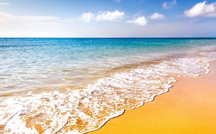 Çimərliklərdə suyun temperaturu  29 dərəcə isti olacaq