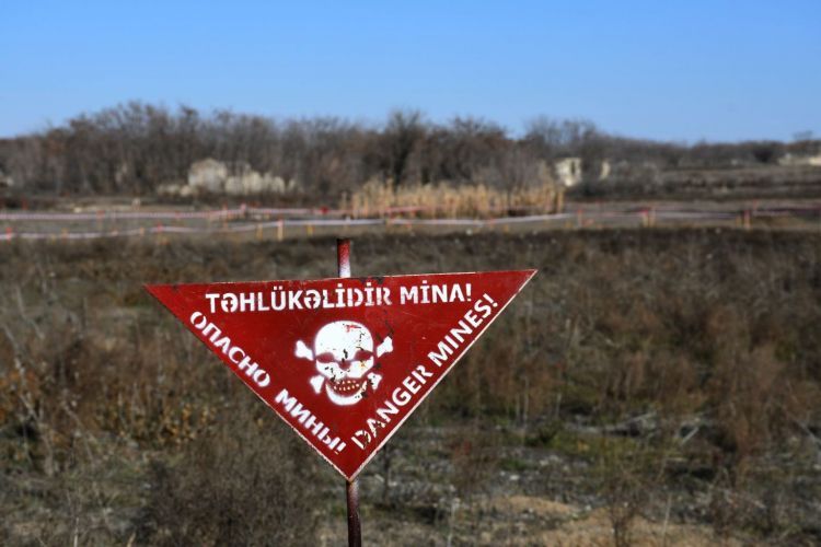 Ötən həftə 1600 hektardan çox ərazi minalardan təmizlənib