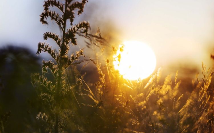 İyulda temperatur iqlim normasından  yuxarı olub