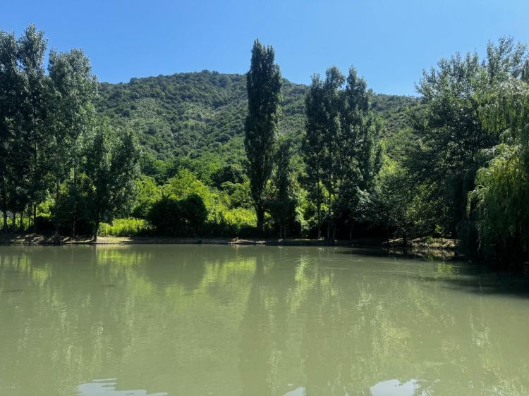Sabahın  HAVA PROQNOZU
