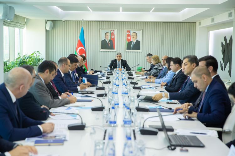 İnklüziv sosial inkişaf və sosial təminat üzrə Alt İşçi qrupu növbəti iclasını keçirib - FOTO