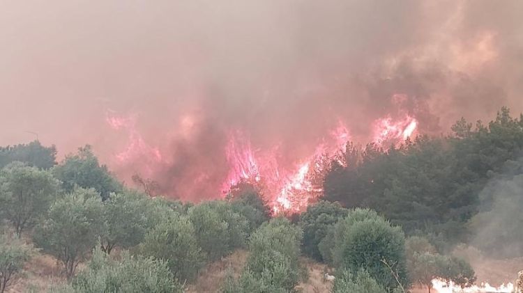 Dörd gündürTürkiyənin bu bölgəsindəki meşə yanğınını söndürmək mümkün deyil