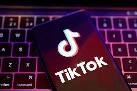 "TikTok"da vətəndaşları qeyri-etik görüntülərlə şantaj edən şəxs saxlanılıb
