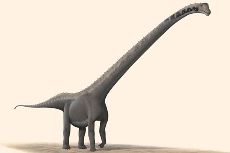 Çində ot yeyən dinozavrların yeni növləri tapılıb