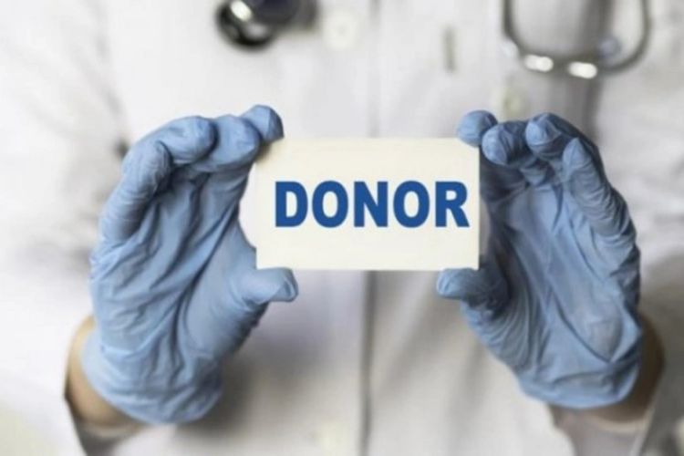 Azərbaycanda 544 nəfər ölümündən sonra donor olmaq üçün qeydiyyatdadır -  RƏSMİ