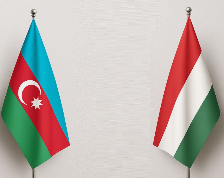 Azərbaycan və Macarıstan arasında 3 sənəd imzalanıb