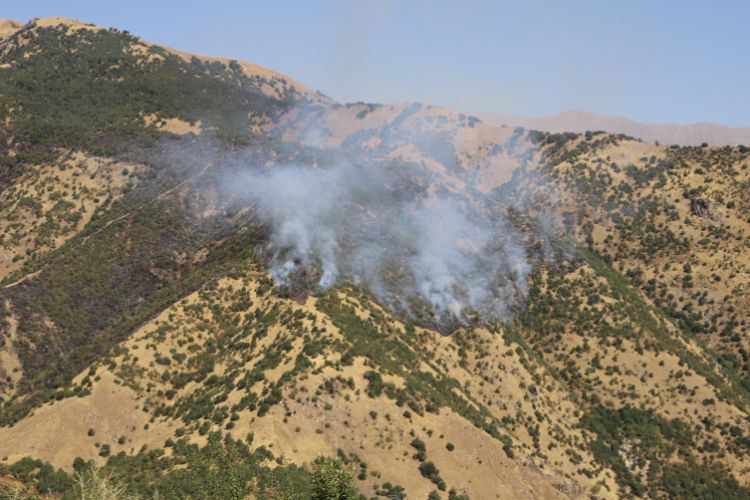 Hakkaridə meşəlik ərazidə yanğın baş verib