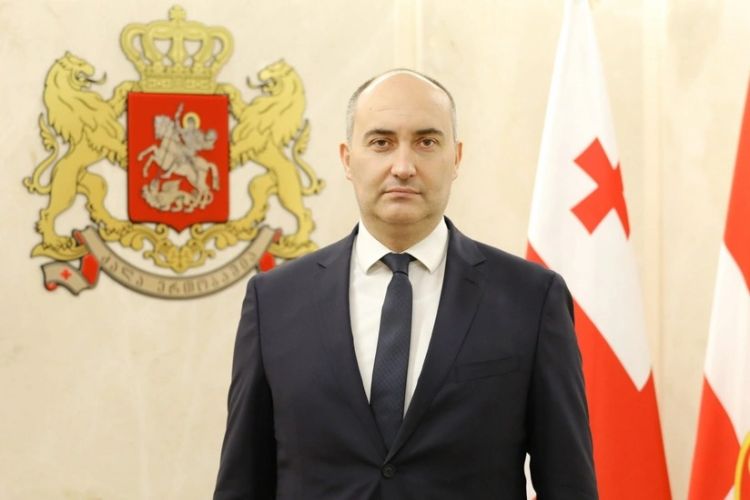 Gürcüstanda keçmiş müdafiə naziri həbs edilib
