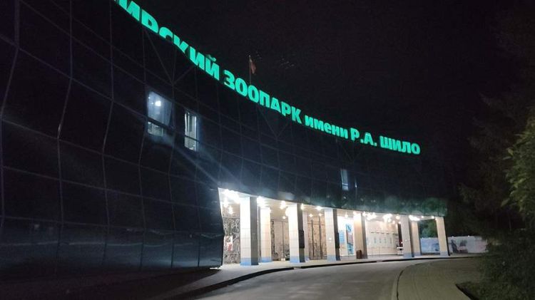 Rusiyada zooparkda baş verən yanğında çox sayda heyvan tələf olub