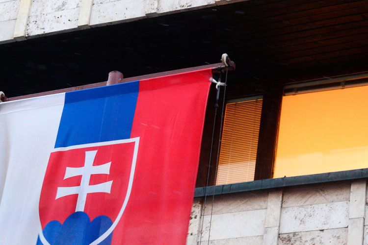Slovakiya parlamenti yalnız iki cinsin olduğunu təsdiqləyib