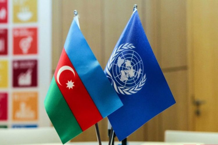 BMT nümayəndəsi: FAO Azərbaycanı dəstəkləyir
