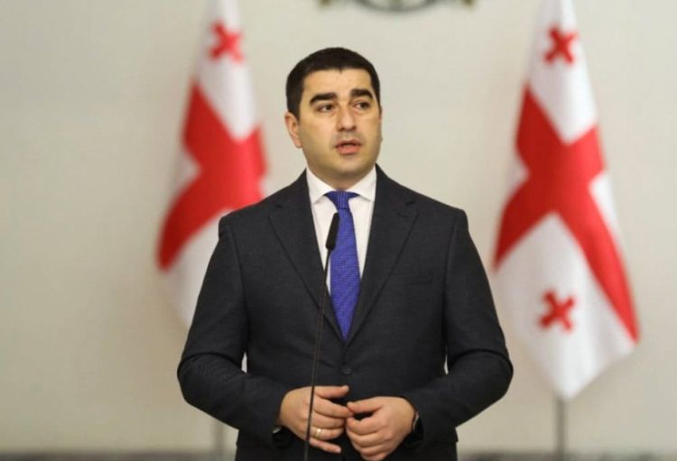 Papuaşvili: Gürcüstan cəmiyyəti Aİ-dən üzr gözləyir   Papuaşvili: Gürcüstan cəmiyyəti Aİ-dən üzr gözləyir