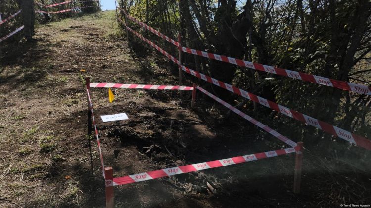 İtkinlərlə bağlı beynəlxalq konfrans iştirakçıları Ağdərədə kütləvi məzarlıqda olub - FOTO