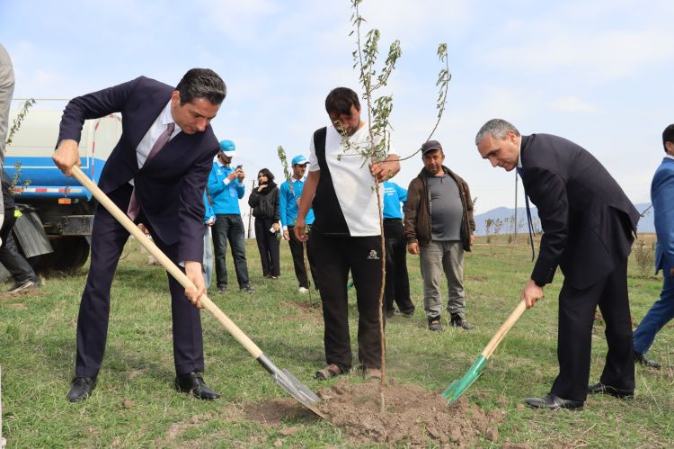 Xocalının Ballıca kəndində badam ağaçları əkilib -  FOTO
