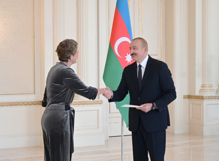 Prezident Niderlandın Azərbaycandakı yeni səfirini qəbul edib - FOTO