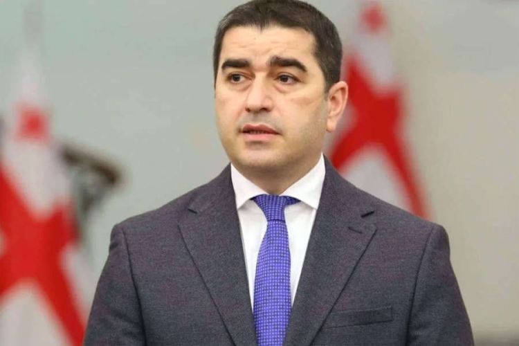 Şalva Papuaşvili ATƏT-in fəaliyyətdə olan sədrini  istefaya çağırdı