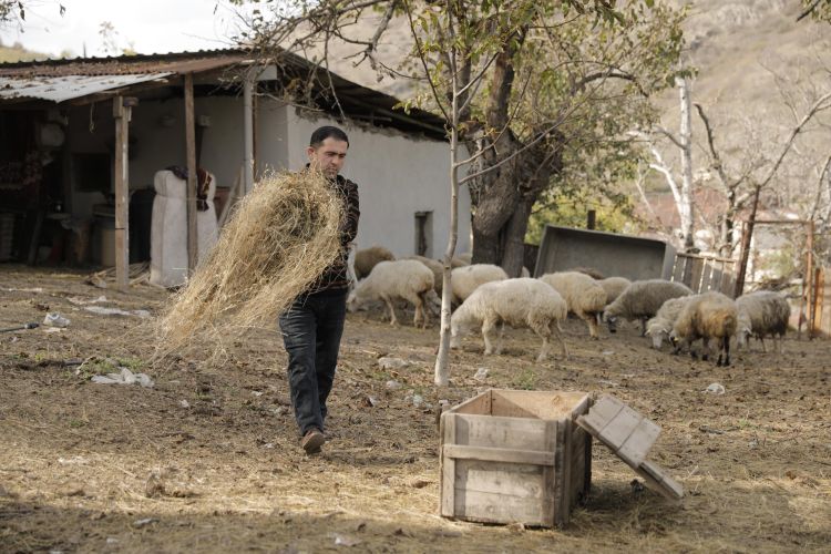 Xocalıda özünüməşğulluq proqramı çərçivəsində qurulmuş təsərrüfatlara mediatur təşkil edilib - FOTO