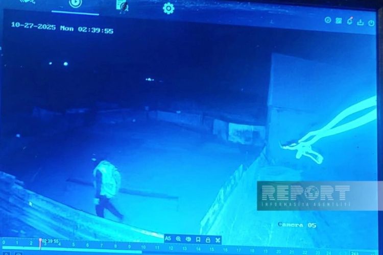 Maskalı şəxslər fermadan 62 baş xırdabuynuzlu heyvan oğurlayıb Maskalı şəxslər fermadan 62 baş xırdabuynuzlu heyvan oğurlayıb