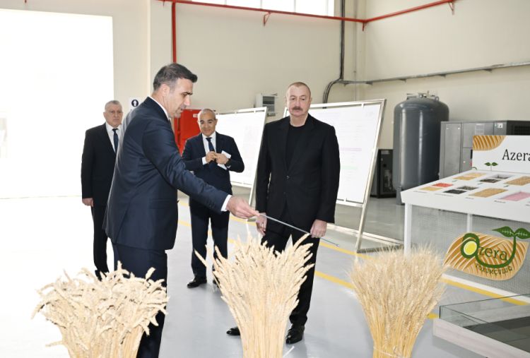 Prezident toxum istehsalı müəssisəsinin fəaliyyəti ilə tanış olub - FOTO Prezident toxum istehsalı müəssisəsinin fəaliyyəti ilə tanış olub - FOTO