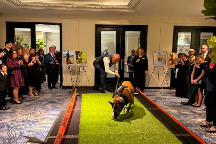 ANAMA-nın minaaxtaranı ABŞ-da mükafata layiq görülüb - FOTO