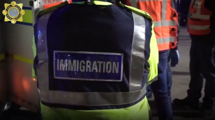 52 Gürcüstan vətəndaşı İrlandiyadan deportasiya edilib