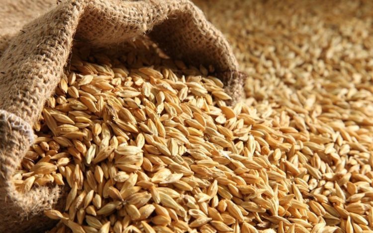 Qazaxıstan taxılının Azərbaycan üzərindən Ermənistana daşınmasına başlanılıb