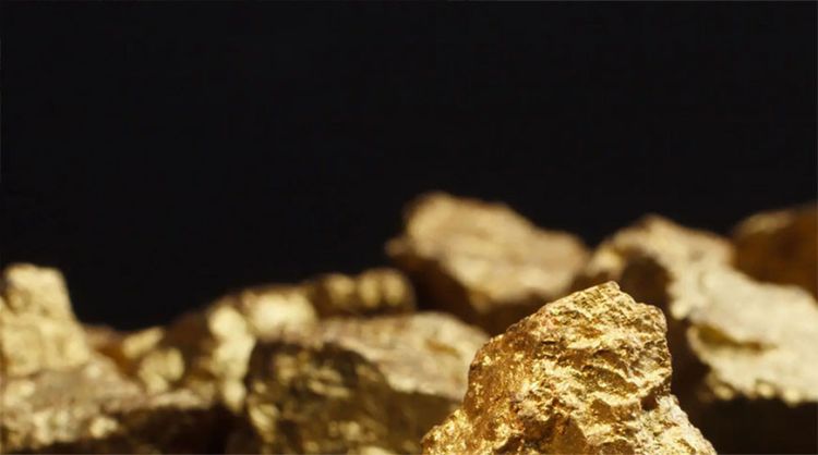 Fransalı kişi bağçasında 700.000 avro dəyərində xəzinə tapıb