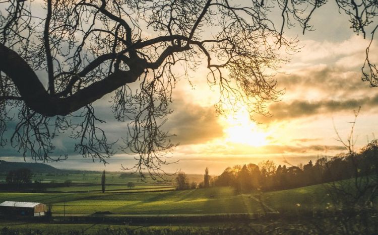 Noyabrın 12-nə olan  HAVA DURUMU