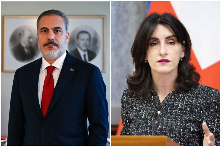 Türkiyə və Gürcüstan XİN rəhbərləri axtarış-xilasetmə əməliyyatlarını müzakirə ediblər