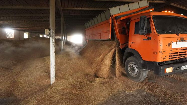 Paşinyan Ermənistanın Rusiya taxılından imtina etməmək niyyətində olduğunu açıqladı