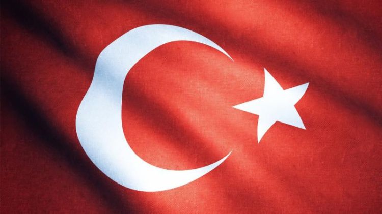 Türkiyənin Gürcüstanda qəzaya uğrayan təyyarəsinin qara qutusu tapılıb