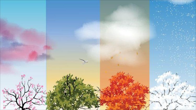 Gələn il fəsillərin Azərbaycana daxilolma vaxtları açıqlanıb